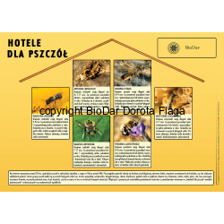 Hotele dla pszczół - tablica